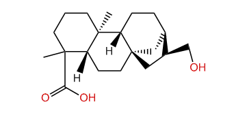 17-Hydroxy-16alpha-ent-kauran-19-oic acid